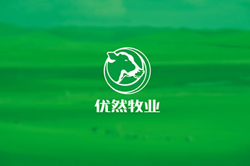 品牌策略規(guī)劃、VI設(shè)計、LOGO設(shè)計、產(chǎn)品包裝設(shè)計